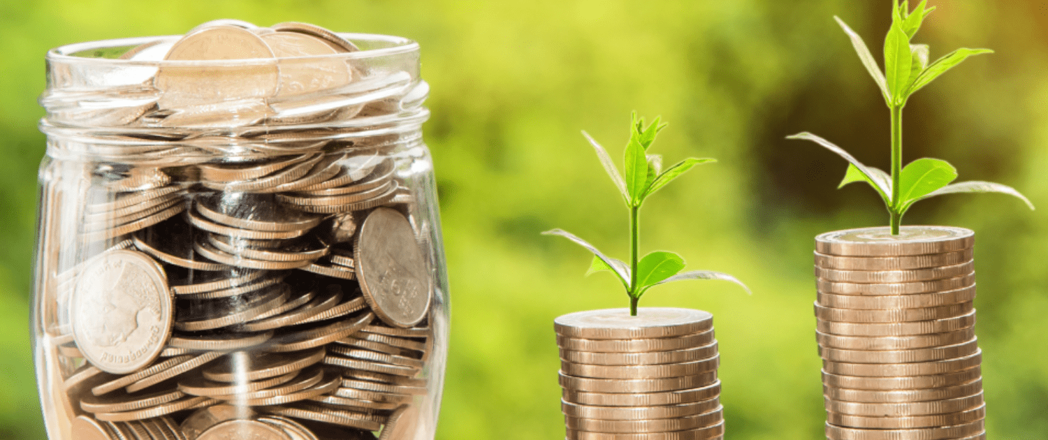 An image of coins and plants, depicting energy savings.